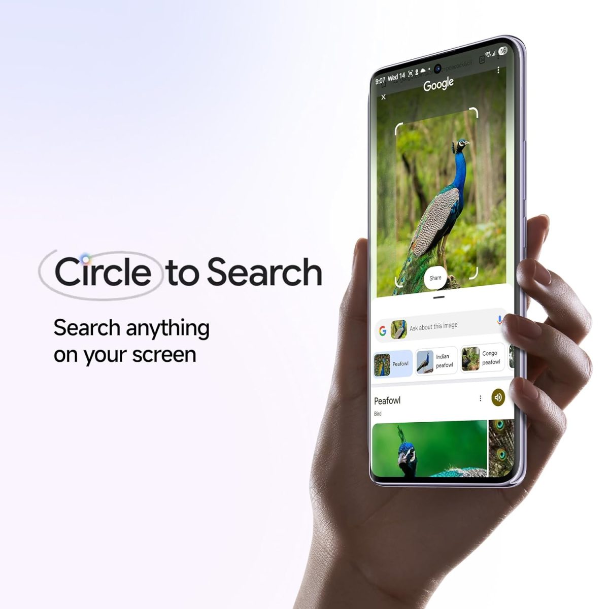Redmi Note 14 Pro+ 5G Titan Black 8GB RAM 256GB Storage| 50 MP Triple Camera with Telephoto | Corning Gorilla Glass Victus 2 | IP 68 | SD 7s Gen 3 - Image 14