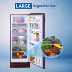 Haier 242 L 3 Star Single Door Direct Cool Refrigerator Appliance, Diamond Edge Freezing Technology (HRD-2423PRP-E, Red Peony,Floral, Base Drawer, 2022 Model) - Image 5