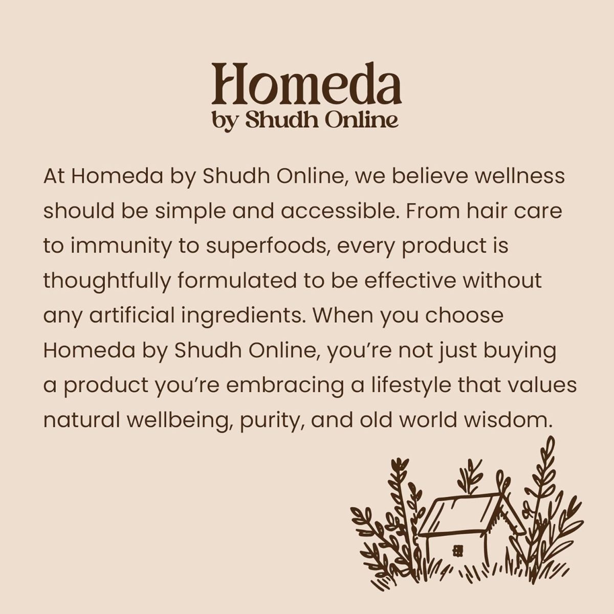 Shudh Online Amla, Reetha, Bhringraj, Shikakai & Hibiscus Powder combo for hair growth (50 grams each) - Image 9