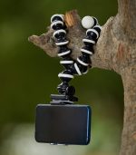 Amazon Basics Gorilla Tripod/Mini Tripod for Mobile Phone with Phone Mount with Flexible Gorilla Stand for DSLR, Action Cameras, Ring Lights, Panel Reflectors, Umbrellas, and Flashlights (13 Inch) - Image 5