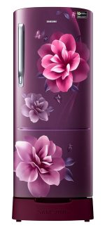Samsung 183 L, 3 Star, Digital Inverter, Direct-Cool Single Door Refrigerator (RR20C1823CR/HL, Red, Camellia Purple, Base Stand Drawer)