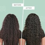 Ashba Botanics Leave-in Conditioner for Frizzy, Wavy & Curly Hair | Hair Cream For Men & Women | Moisturizes, Protects, Nourishes & Adds Shine to Dry & Damaged Hair | Silicone Free (50, millilitre) - Image 5