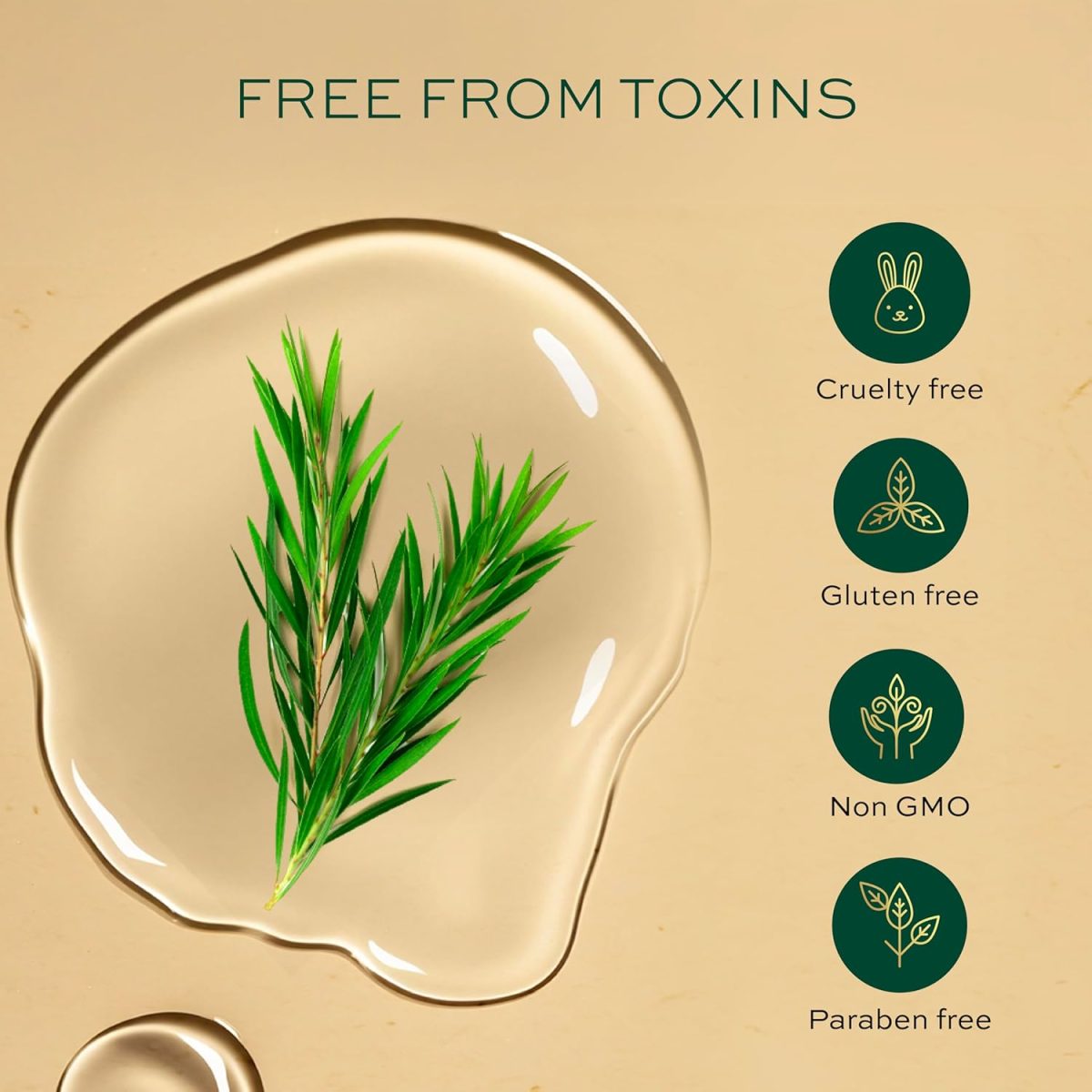 Parachute Advansed Tea Tree Essential Oil | 100% Pure| for Dandruff Control & Glowing Skin | Moisturises dry hair, Controls Dandruff, for Healthy & Clear looking Skin | 14ml - Image 7