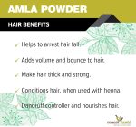THE FOREST HERBS Natural care from nature Natural Organic Amla, Reetha, Shikakai, Bhringraj, Hibiscus Powder for All Hair Type, 100G Each, 5 Count - Image 3