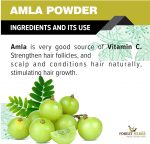 THE FOREST HERBS Natural care from nature Natural Organic Amla, Reetha, Shikakai, Bhringraj, Hibiscus Powder for All Hair Type, 100G Each, 5 Count - Image 2