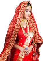 Radha Rang Wedding & Bridal Dupatta : Red,Pink,Cream Women Heavy Bridal Dupatta for Wedding - Chunari With Velvet Lace For Bride Addition to Your Net Red, Pink Lehenga Saree Only I