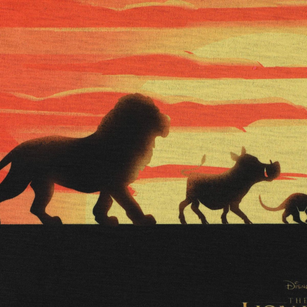 Lion King by Wear Your Mind Girl's Plain Regular fit T-Shirt (DLKGT0013.2_Orange 4-5 Years) - Image 3