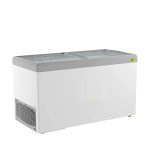 Western Straight Glass Top Freezer F450GT25 - Image 2