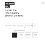 Minimalist Barrier Repair Face Moisturizer with Vitamin B12 Complex 5.5% with Ceramides for All Skin Types | Strengthens Skin Barrier, Boosts Hydration, Soothing, Lightweight Gel Texture | 50 gm - Image 4