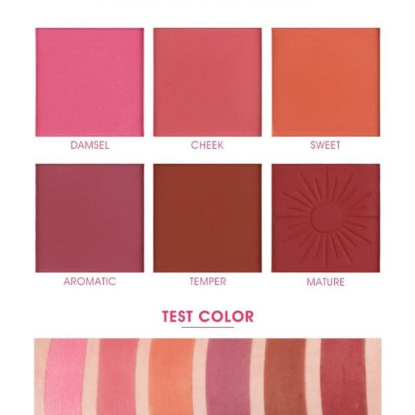 COSLUXE IMAGIC PROfessional Pro Blusher Palette 42.8g, 6 COLOR TOUCH BLUSH PALETTE