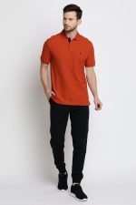 Van Heusen Men's Cotton Regular Fit Polo T-Shirt - Image 5