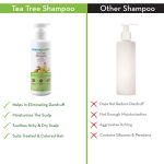 Mamaearth Tea Tree Anti Dandruff Shampoo, With Tea Tree & Ginger Oil, 250ml - Image 5