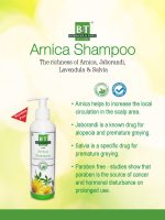 BT BOERICKE & TAFEL B&T Arnica Shampoo For Healthy Hair- 250 Ml (Pack Of 2) - Image 3