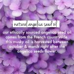 Love Beauty And Planet Rice Water & Angelica Seed Oil Silicone-Free Curl & Waves Leave-In|| No Parabens|| No Dyes|| Angelica Essential Oil|| 200ml - Image 5