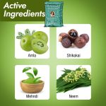 Shahnaz Husain Professional Power Henna | Precious herb Mix | Henna Powder | Amla | Neem | Shikakai | Babul Gond | Mehndi | 100g x 3 - Image 5