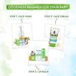 Mamaearth Foaming Face Wash For Kids With Aloe Vera & Coconut For Gentle Cleansing- 150 ml | Deeply Cleanses | Soothes Skin | Tear-Free Formula - Image 6