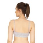 Elegraze ComfyLegance Sports Premium Dual Layered Bra for Girls and Women (Combo Pack of 02/03) - Image 2