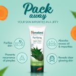 Himalaya Herbals Purifying Neem Pack, 100g Packaging might differ - Image 3