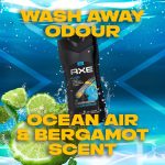 AXE Alaska 3 In 1 Body, Face & Hair Wash for Men, Long-Lasting Refreshing Ocean Air & Bergamot Fragrance Natural Origin Ingredients,Removes Odor & Bacteria, No Parabens, Dermatologically Tested, 250ml - Image 7