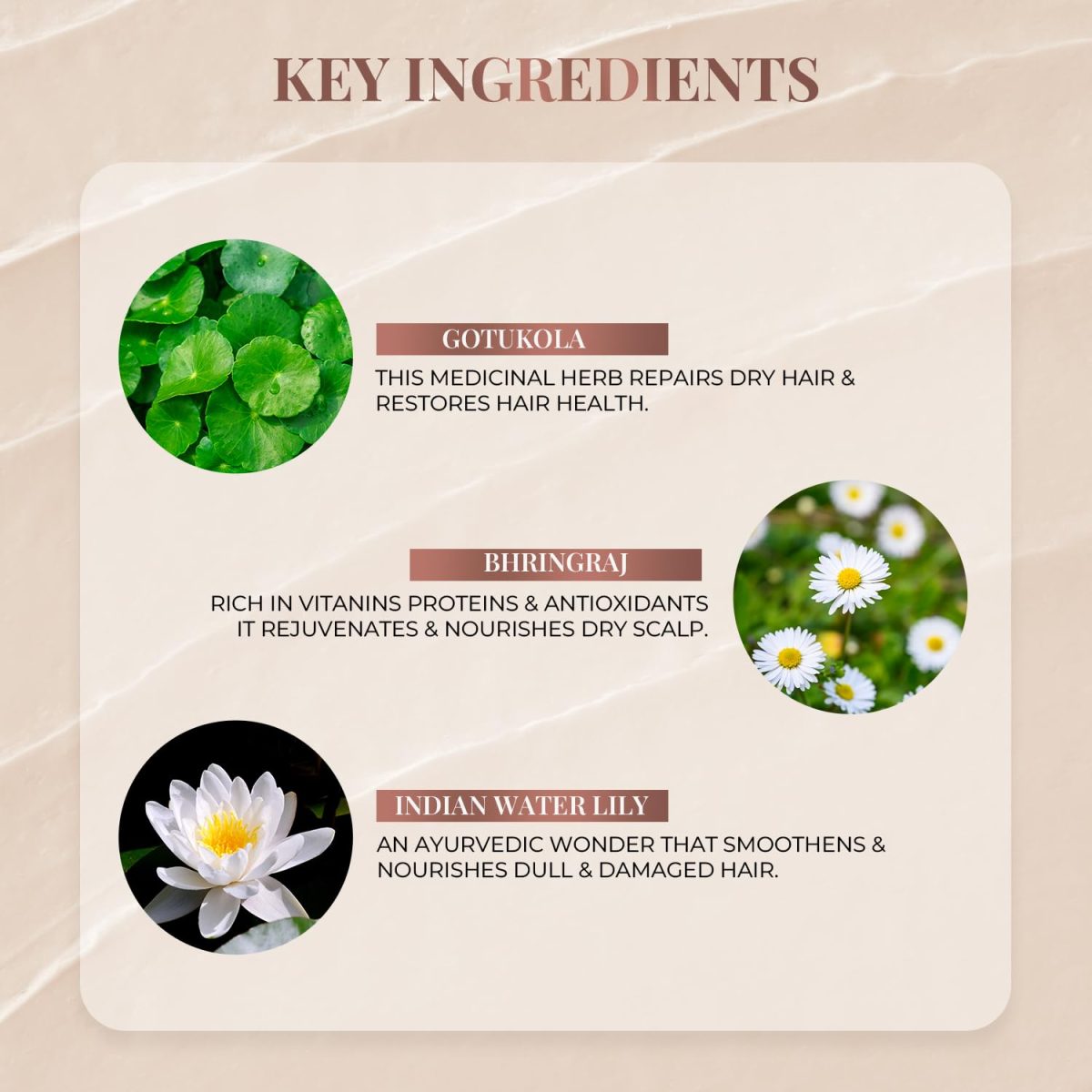 Just Herbs Ayurvedic Kumuda Indian White Water Lily Conditioner | Natural Conditioner For All Hair Types | Controls Frizz & Nourishes Hair | Sulphate & Paraben Free- 200 ml - Image 6