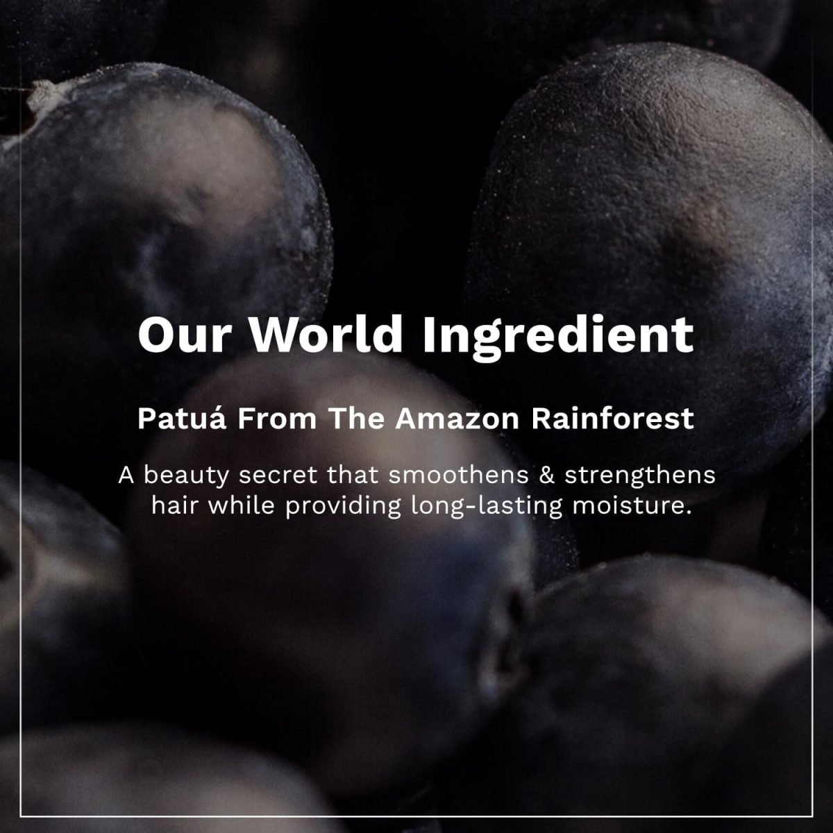 Pilgrim Patuá & Keratin Hair SMOOTHENING SHAMPOO for Dry & Frizzy hair 200 ML (Pack of 2) | Sulphate & Paraben free shampoo for Women & Men | Hair Smoothening & healthy scalp - Image 4