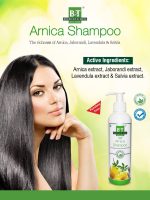 BT BOERICKE & TAFEL B&T Arnica Shampoo For Healthy Hair- 250 Ml (Pack Of 2) - Image 2