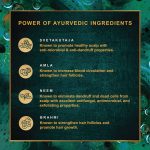 Indulekha Svetakutaja Ayurvedic Hair Oil 100 ml|Ayurvedic Medicinal oil for dandruff treatment with Svetakutaja-Comb Applicator Bottle for Men & Women - Image 4