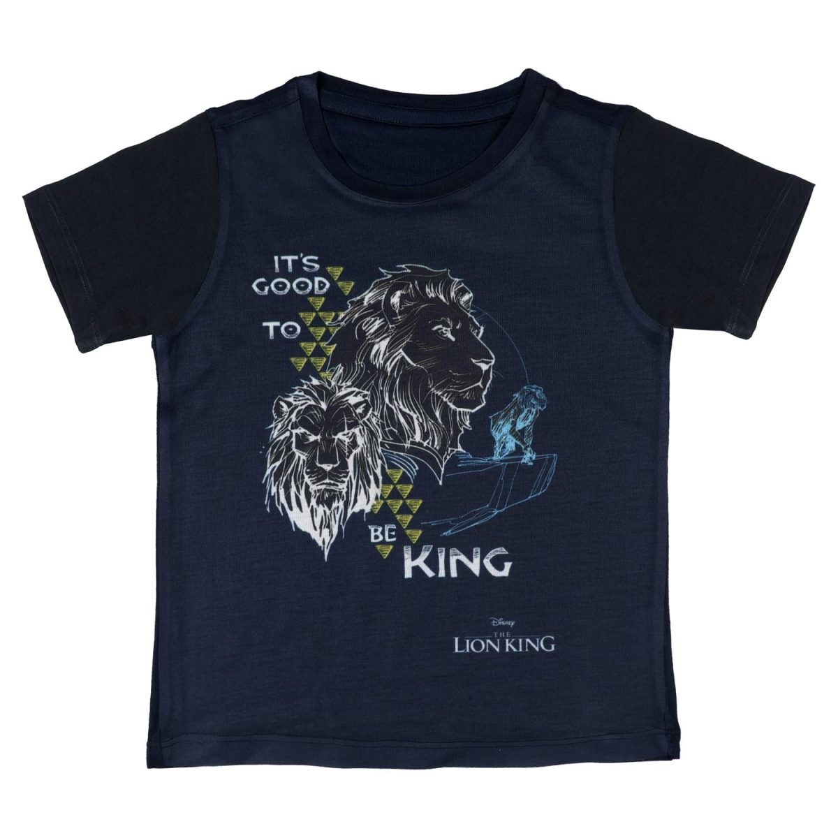 Lion King by Wear Your Mind Boy's Plain Regular fit T-Shirt (DLK0020.3_Navy 4-5 Years)