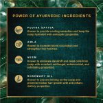 Indulekha Anti Dandruff Shampoo 650 ml|| for Dandruff Control|| With Pudina| Amla|| Rosemary OIl - Paraben Free|| For Men & Women - Image 4