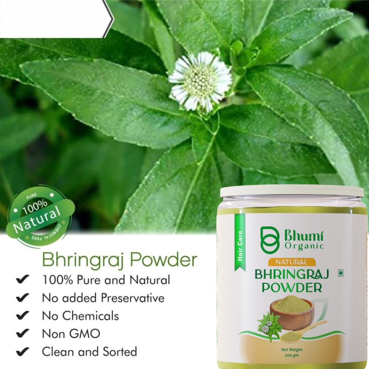 Bhumi Organic Bhringraj Powder (Eclipta Alba) 200g – Ayurvedic Hair Growth, Reduces Hair Fall & Promotes Thick, Strong Hair | Natural - Image 9