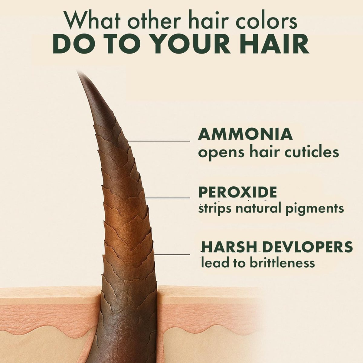 SACRED HERBS Ammonia & PPD Free Organic Gel Hair Color | pH Neutral | Long Lasting Colour with 100% Grey Coverage | Conditioning & Damage Free Natural Hair Coloring for Men & Women Dark Brown 3.00 - 240ml+20gms - Image 6