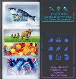 LEONARD USA 122 L Inverter Double Door Mini Refrigerator/Small Fridge for Home & Wine Chiller with Separate Deep Freezer Compartment for Preserving Ice & Meat (Based on American Technology) (Black) - Image 4