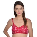 Aimly Women's Cotton Non-Padded Non-Wired Full Coverage Printed Bra - (Pack of 3) - Image 3