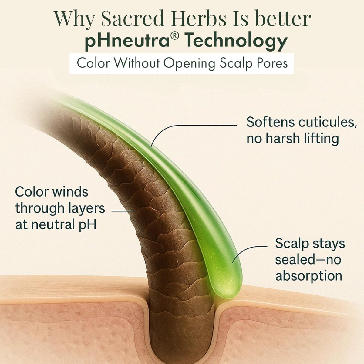 SACRED HERBS Ammonia & PPD Free Organic Gel Hair Color | pH Neutral | Long Lasting Colour with 100% Grey Coverage | Conditioning & Damage Free Natural Hair Coloring for Men & Women Dark Brown 3.00 - 240ml+20gms - Image 5