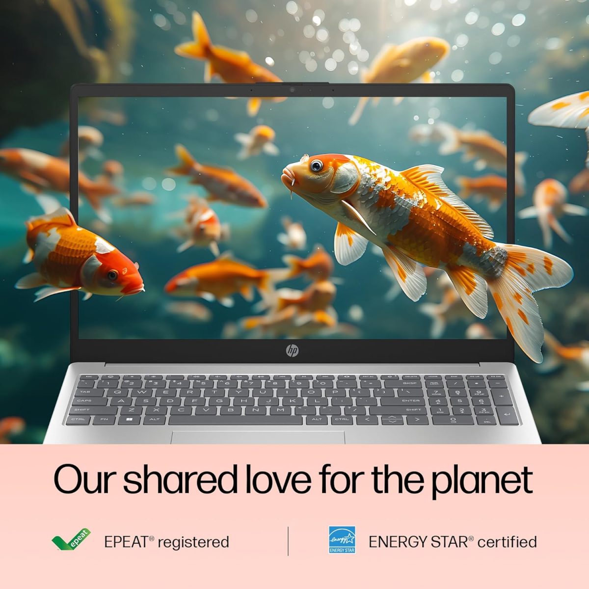 HP Battery_King 15,12th Gen Intel Core i5-1235U, 8GB DDR4,1TB SSD, (Win 11,MSO 2021,Silver,1.59 Kg),15.6-Inch(39.6 Cm) FHD Laptop, UHD Graphics,1080P FHD Camera W/Privacy Shutter,Backlit KB,FD0112TU - Image 9