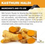 The Forest Herbs Natural Care From Nature Kasturi Haldi Powder (100 grams) | Wild turmeric powder for glowing skin | Kasturi Manjal for All Skin types| 100% Natural, Chemical-free, Perseverative-free - Image 5